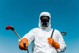 Real Estate Pest Inspections in Queen Creek, AZ